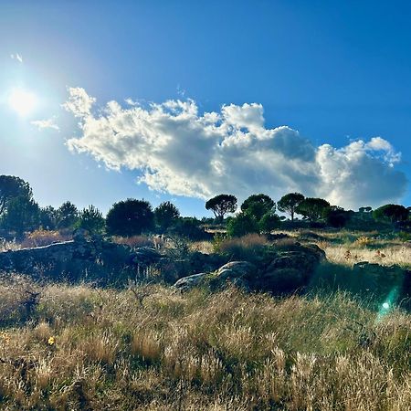 Casa Rural, “El Andador” El Hoyo de Pinares Esterno foto