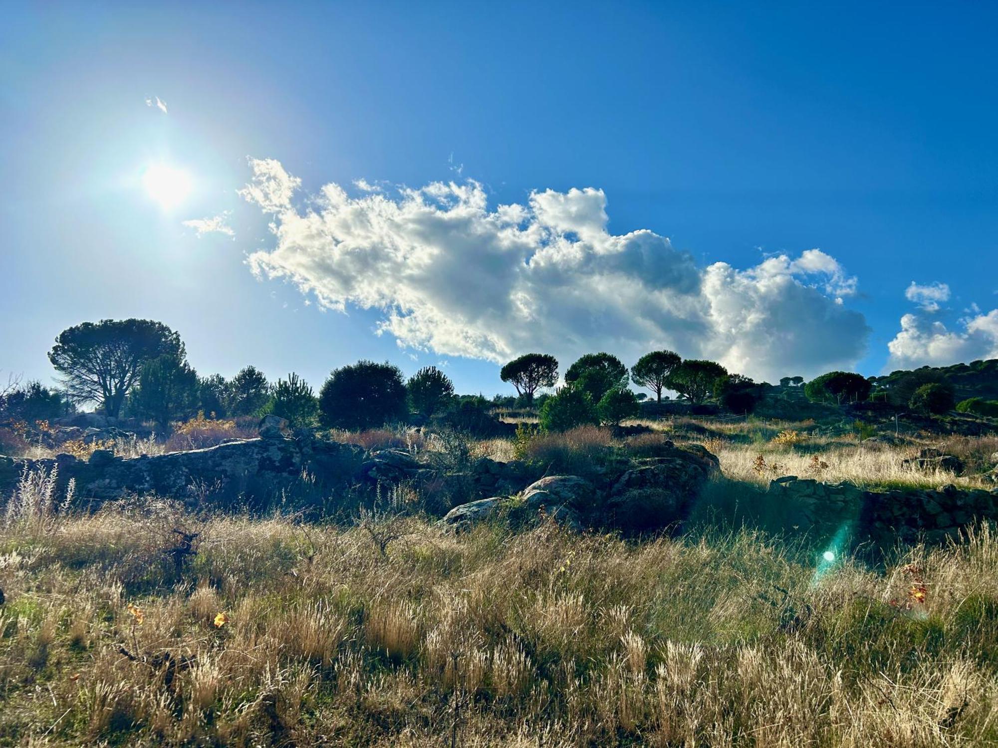Casa Rural, “El Andador” El Hoyo de Pinares Esterno foto