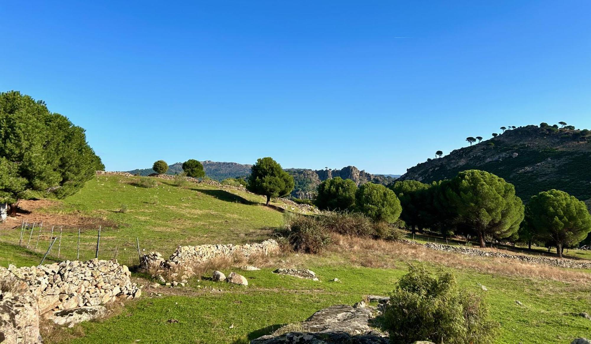 Casa Rural, “El Andador” El Hoyo de Pinares Esterno foto